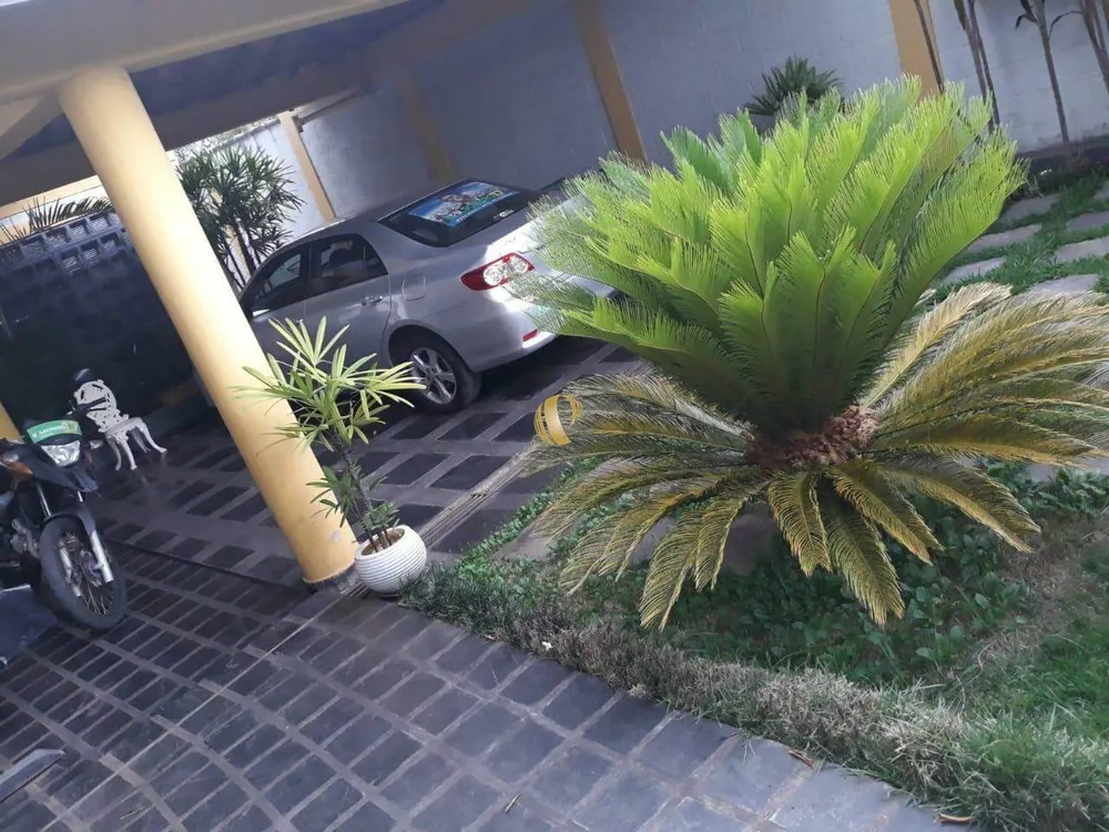 Casa, 3 quartos, 288 m² - Foto 6