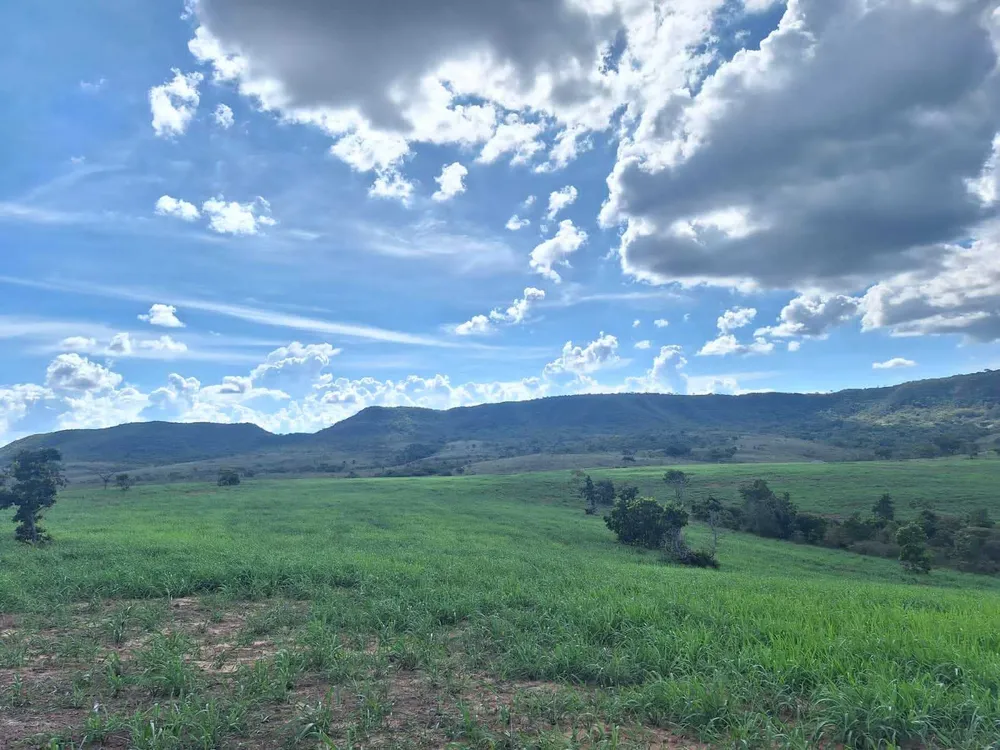 Fazenda, 1250 hectares - Foto 6