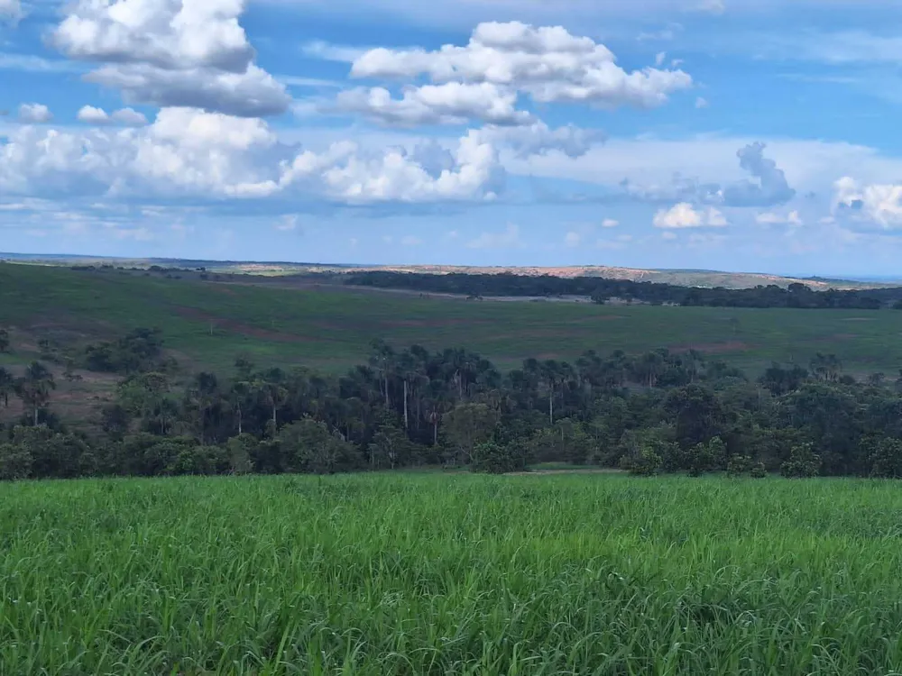 Fazenda, 1250 hectares - Foto 12