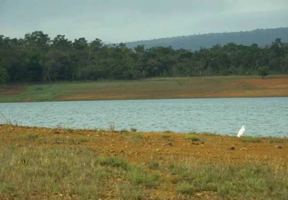 Fazenda, 1250 hectares - Foto 9