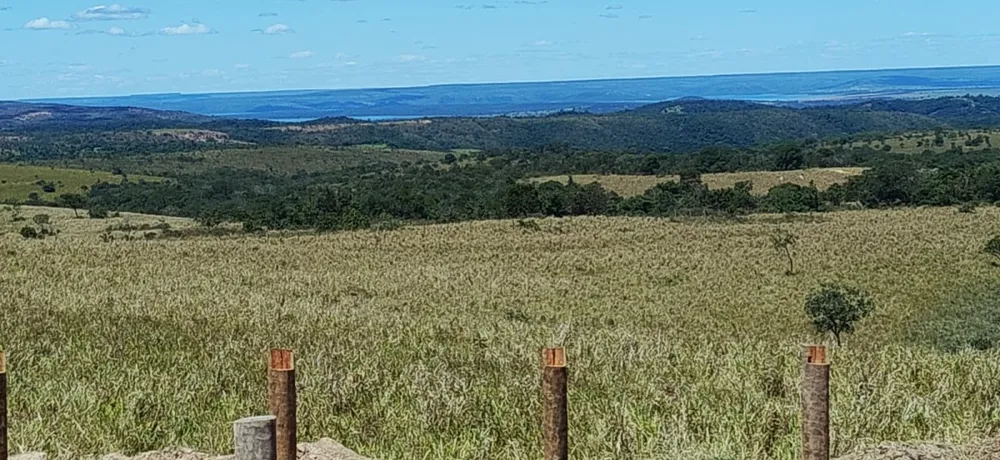 Fazenda, 1250 hectares - Foto 2
