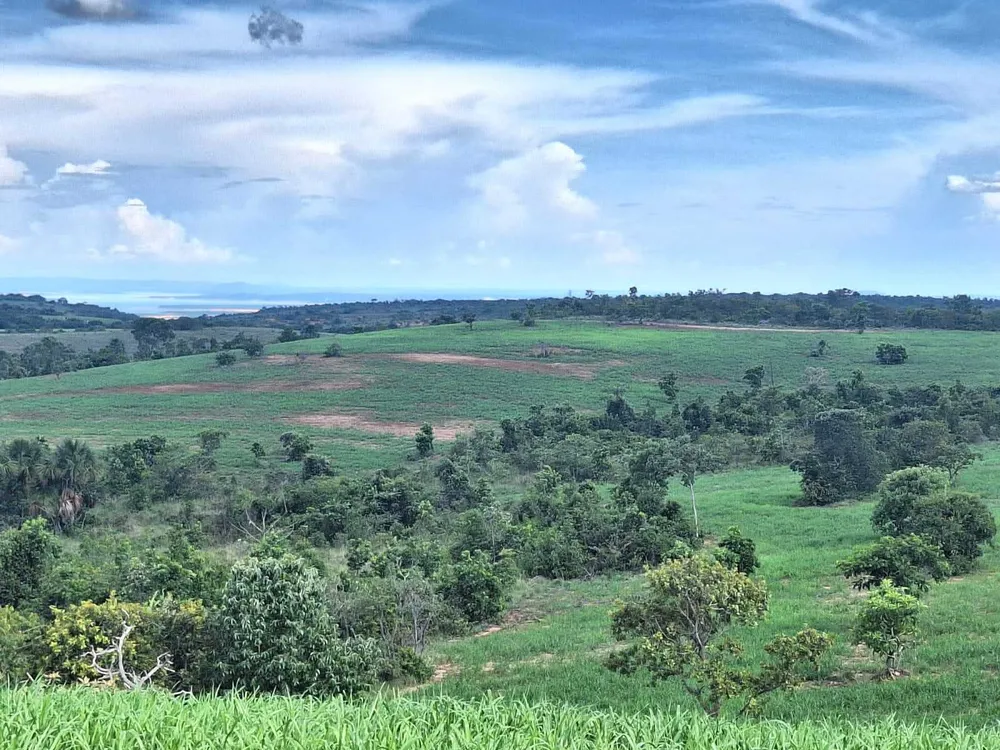 Fazenda, 1250 hectares - Foto 11