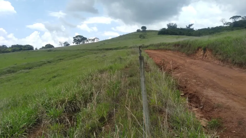 Fazenda, 174 hectares - Foto 12