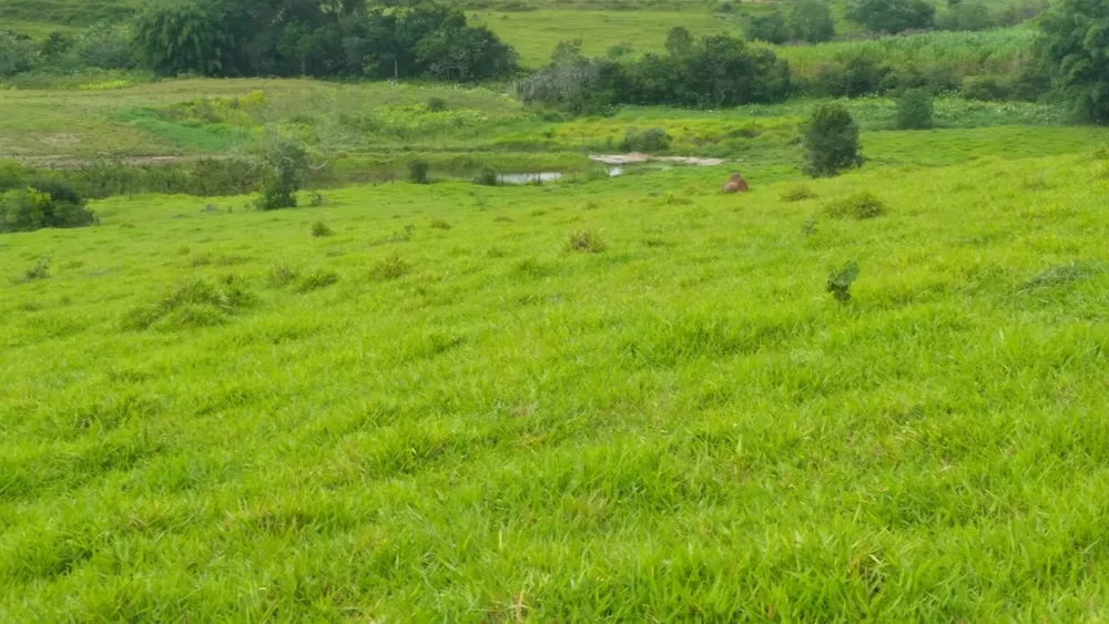 Fazenda, 174 hectares - Foto 3