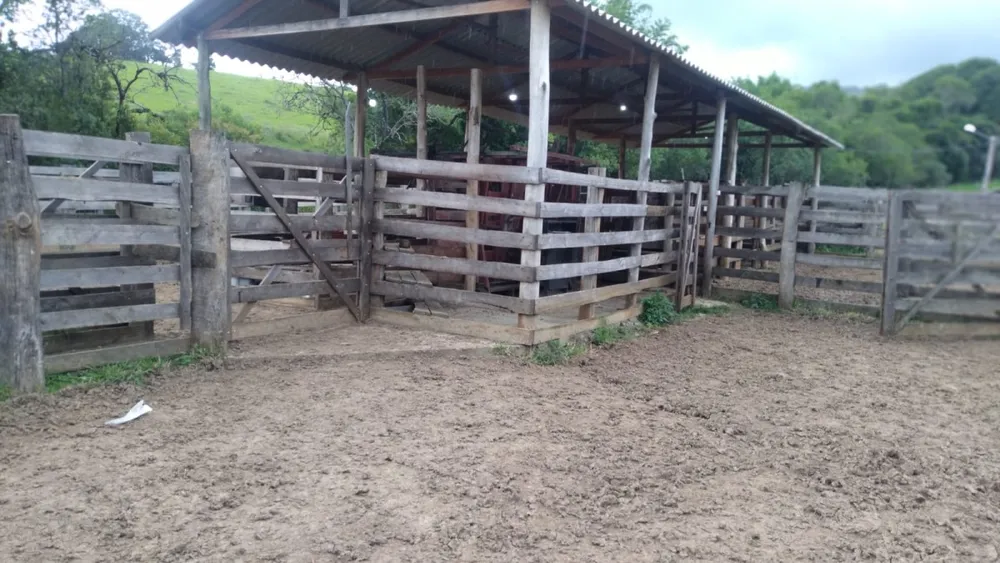 Fazenda, 174 hectares - Foto 15