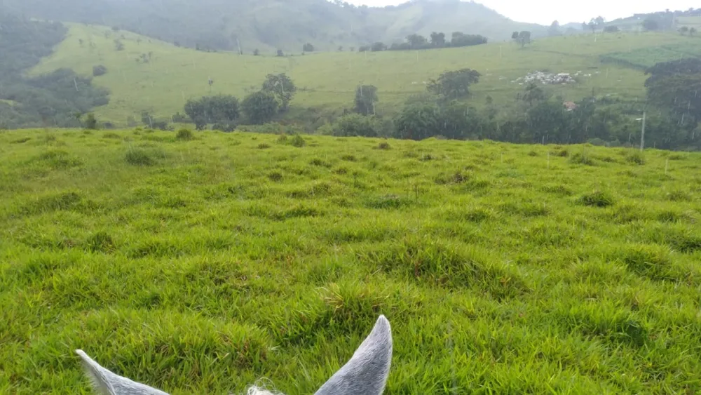 Fazenda, 174 hectares - Foto 2