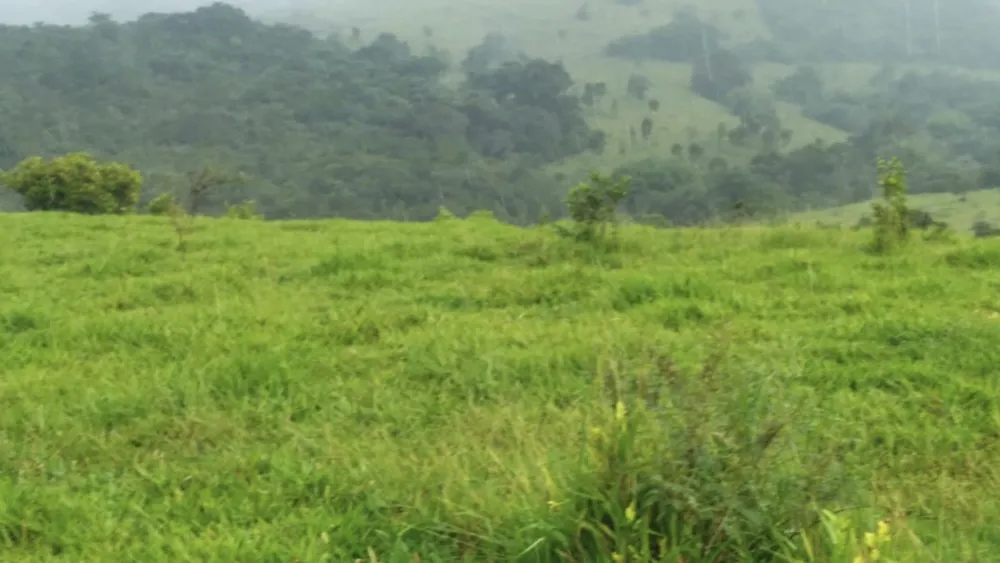 Fazenda, 174 hectares - Foto 1