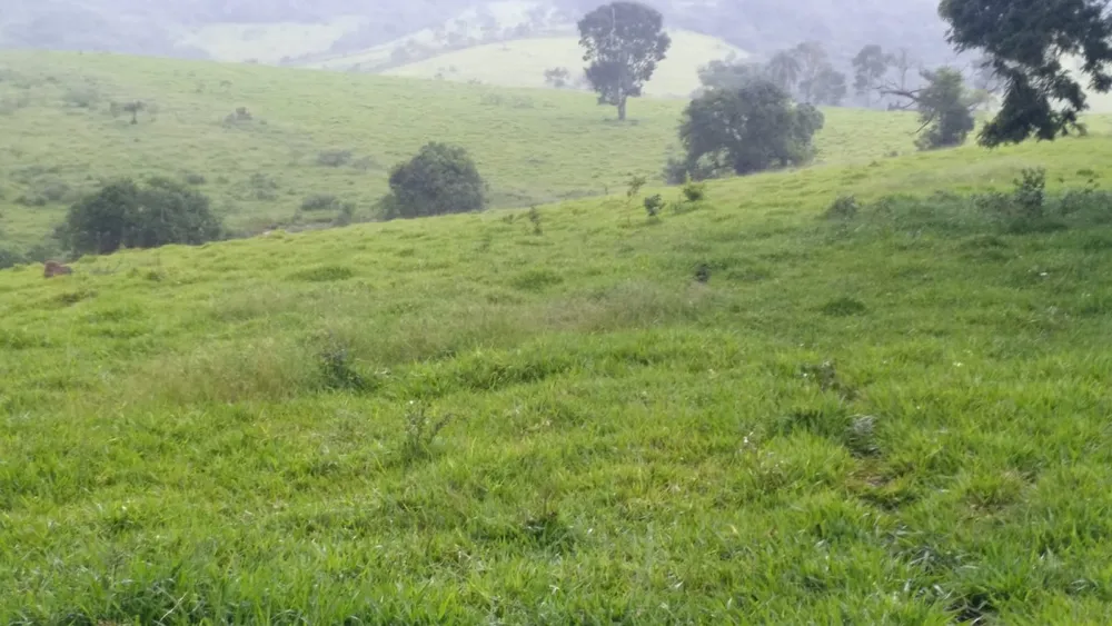 Fazenda, 174 hectares - Foto 4