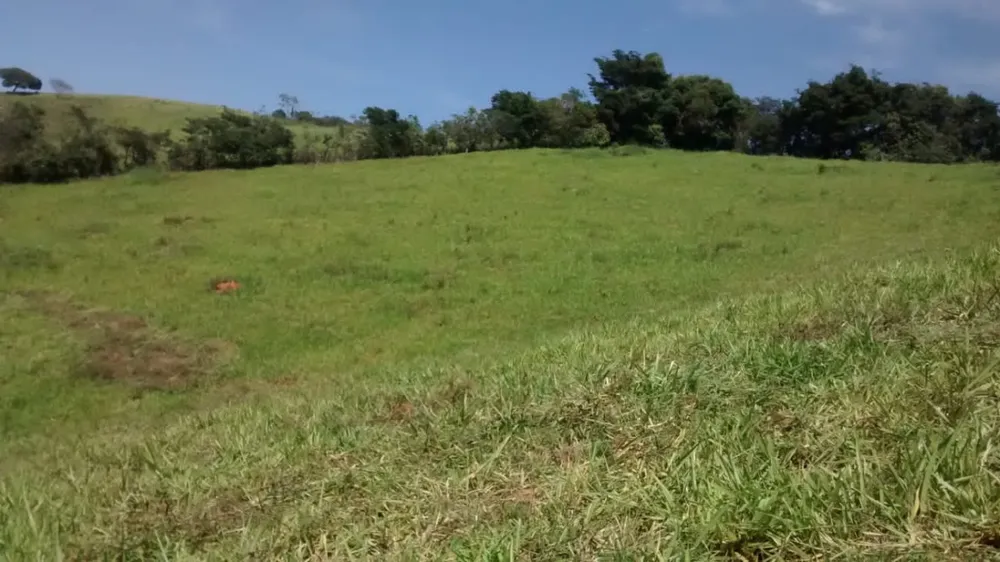 Fazenda, 174 hectares - Foto 11