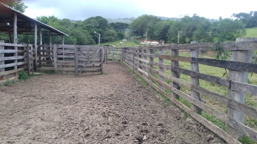 Fazenda, 174 hectares - Foto 14