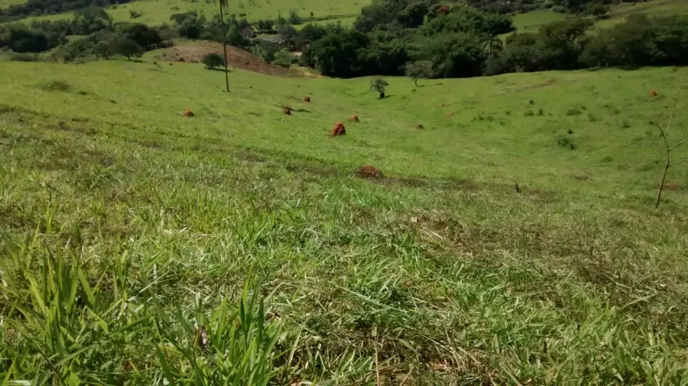 Fazenda, 174 hectares - Foto 8