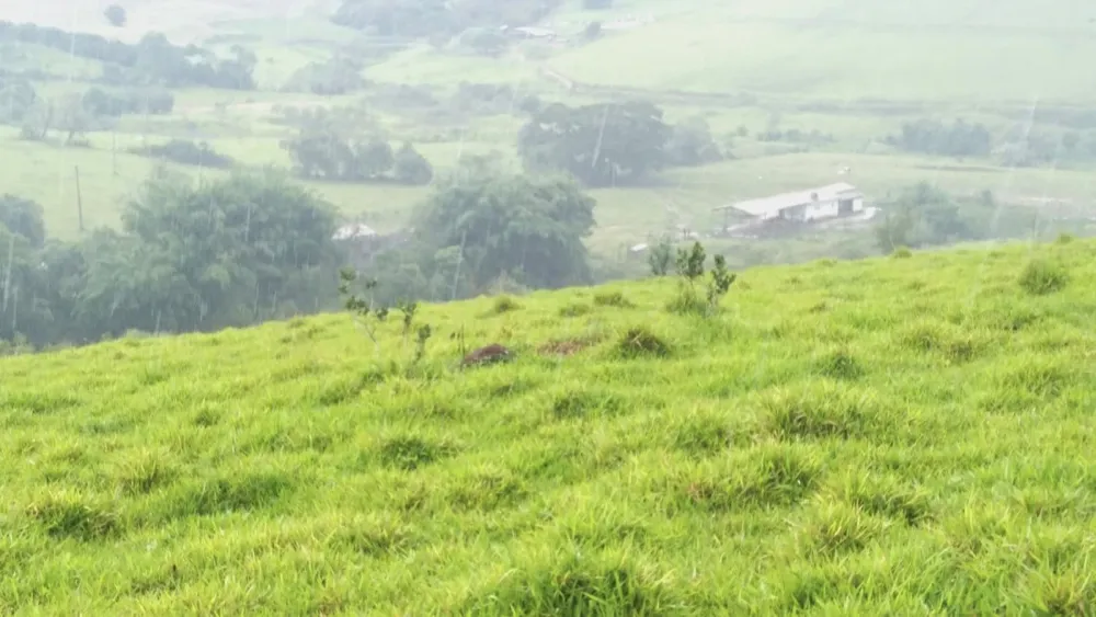 Fazenda, 174 hectares - Foto 10