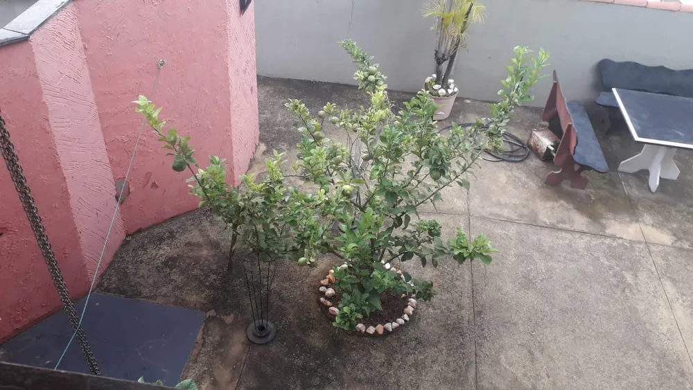 Casa, 4 quartos, 390 m² - Foto 12