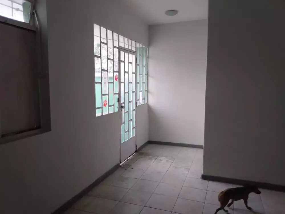Casa, 4 quartos, 300 m² - Foto 3