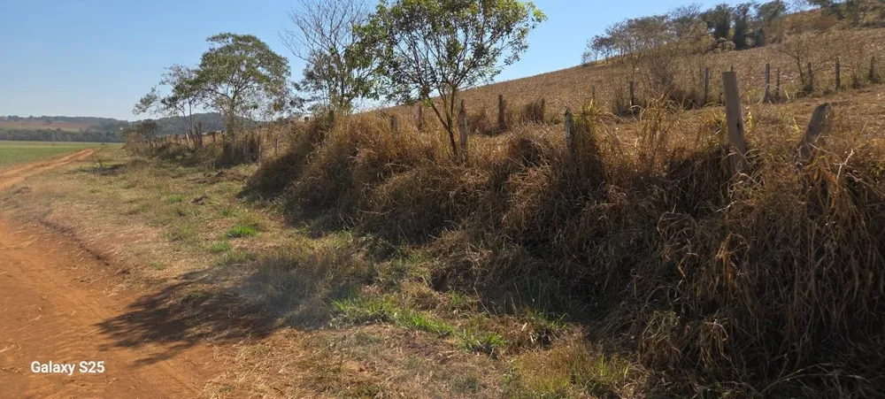Fazenda, 211 hectares - Foto 4