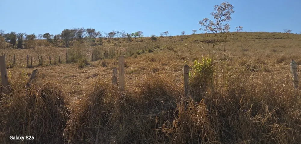 Fazenda, 211 hectares - Foto 1