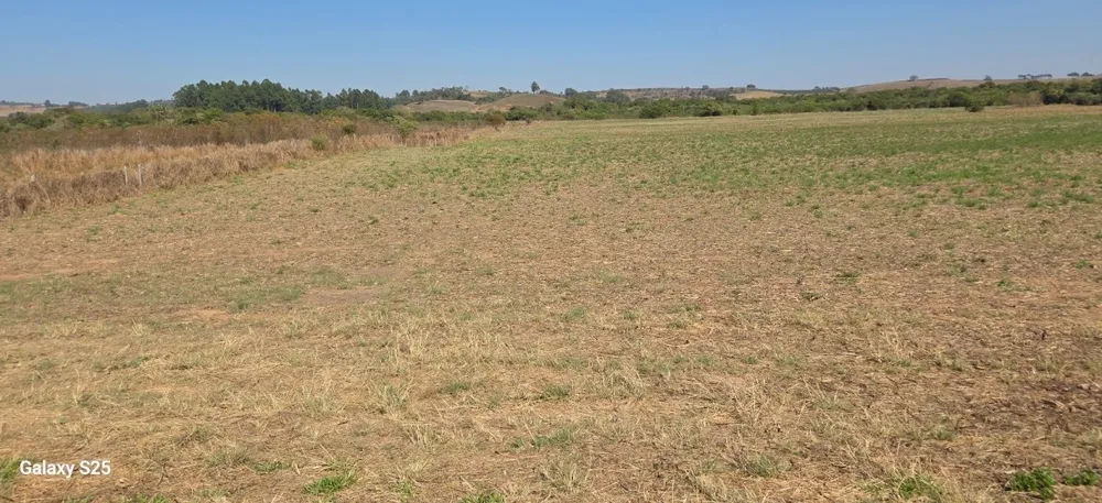 Fazenda, 211 hectares - Foto 7