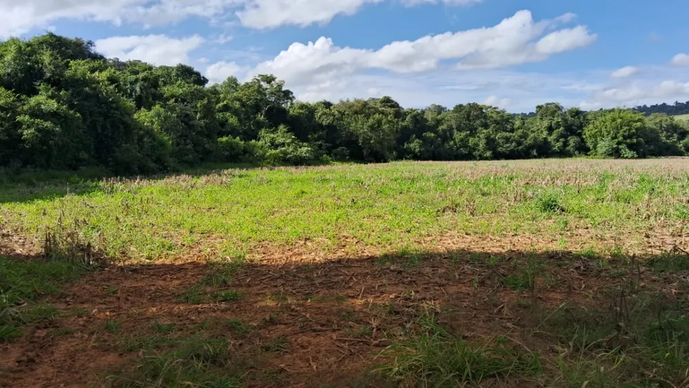 Fazenda, 211 hectares - Foto 10
