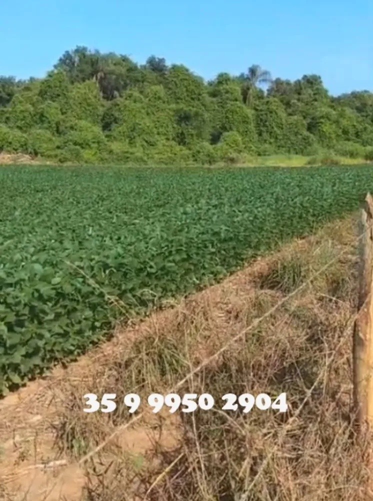 Fazenda, 211 hectares - Foto 12