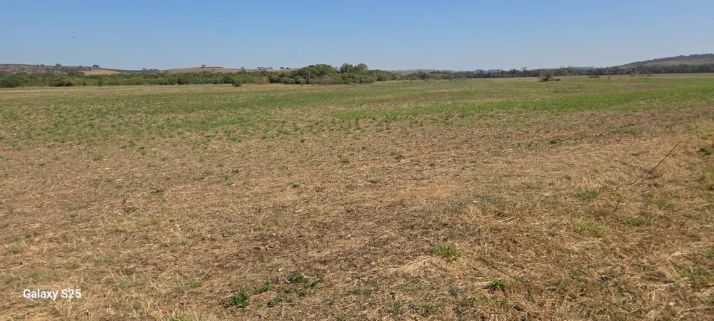 Fazenda, 211 hectares - Foto 2