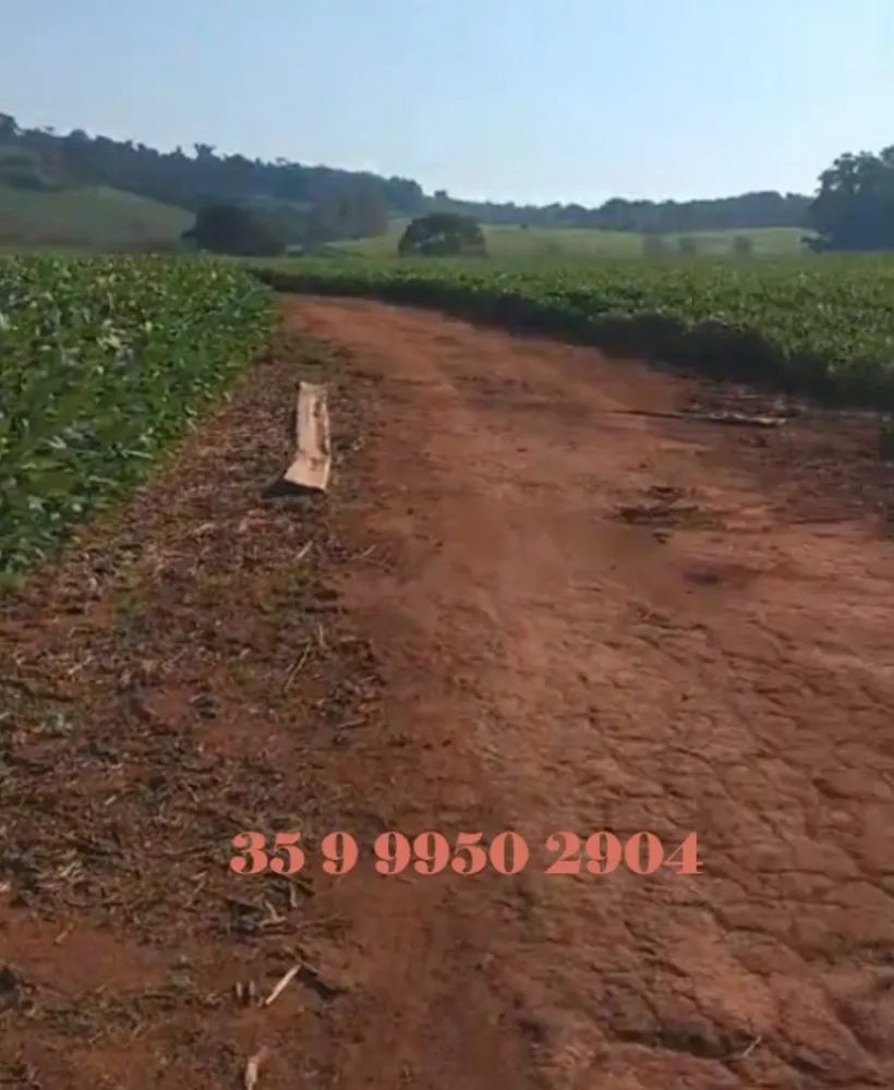 Fazenda, 211 hectares - Foto 8