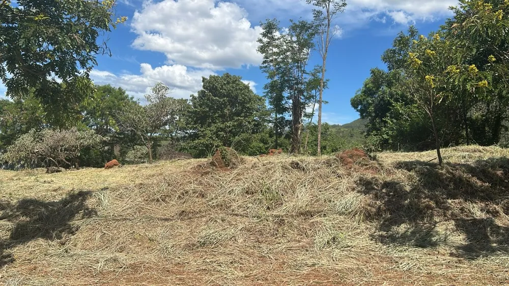 Terreno, 1000 m² - Foto 1