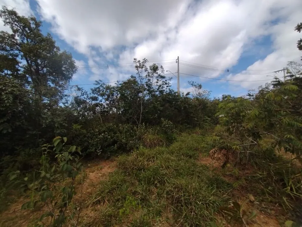 Terreno - Foto 5