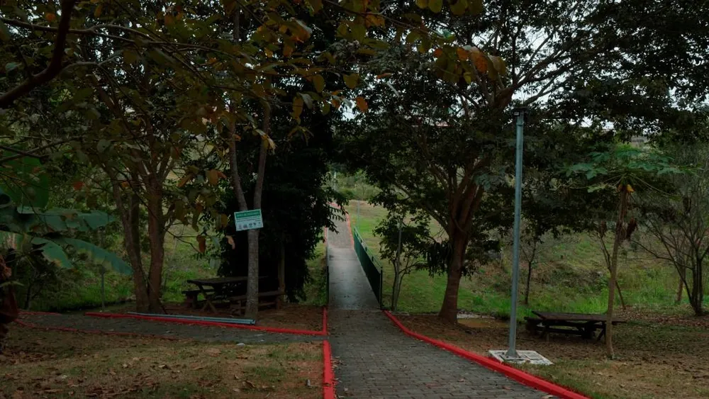 Terreno - Foto 5