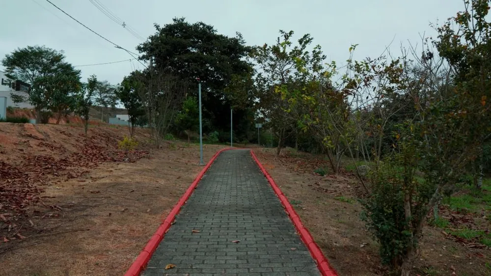 Terreno - Foto 4