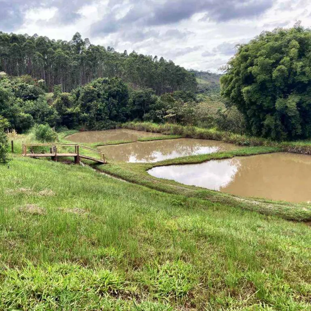 Fazenda, 53 hectares - Foto 1