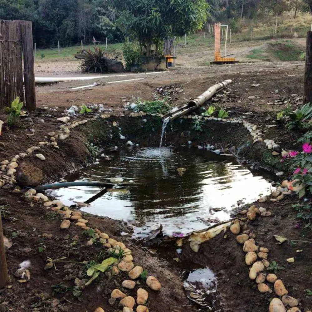 Fazenda, 53 hectares - Foto 16