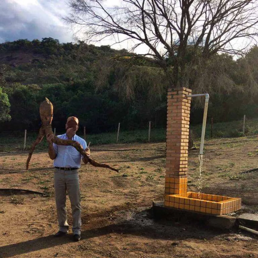 Fazenda, 53 hectares - Foto 15