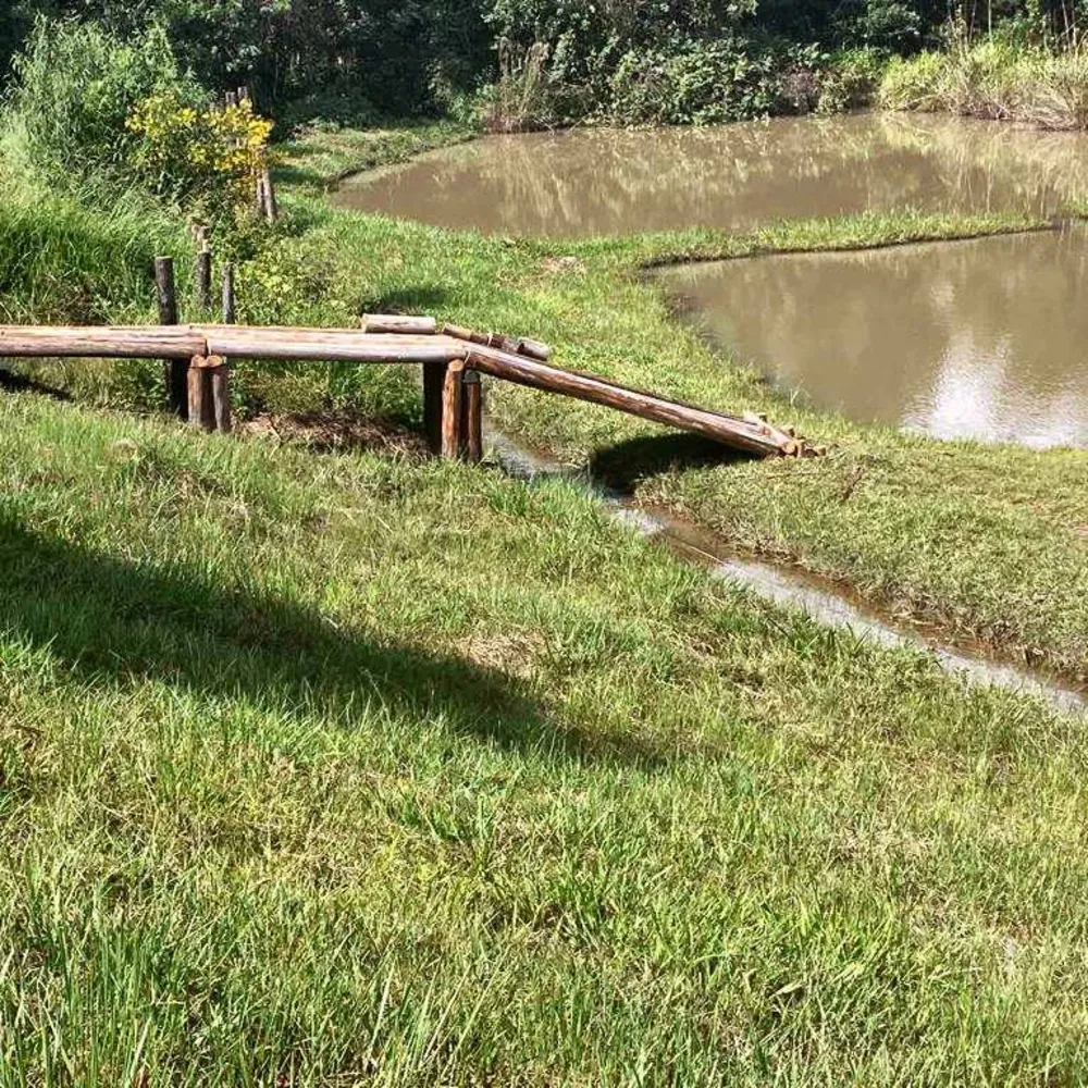 Fazenda, 53 hectares - Foto 8