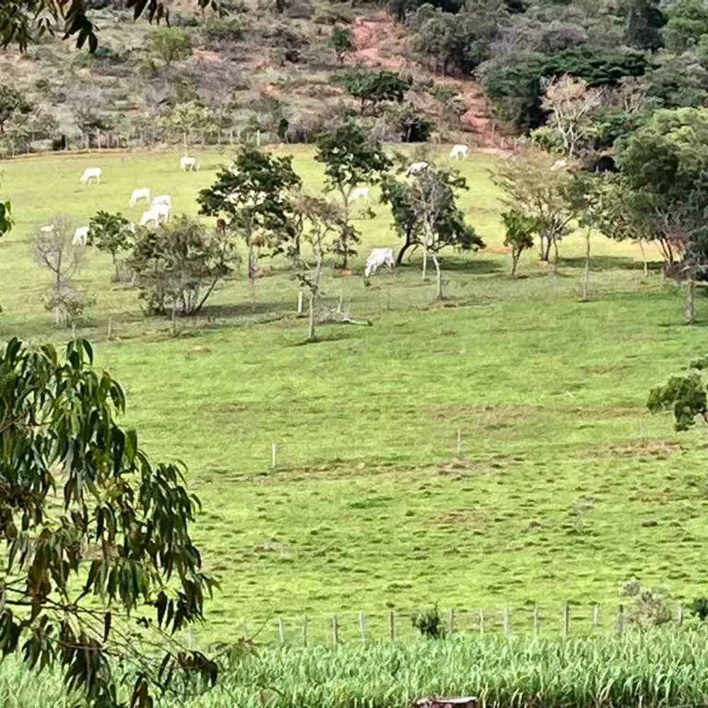 Fazenda, 53 hectares - Foto 5