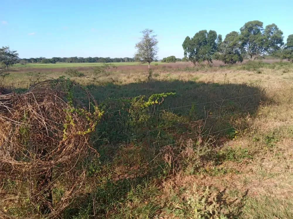 Fazenda, 1 quarto - Foto 6