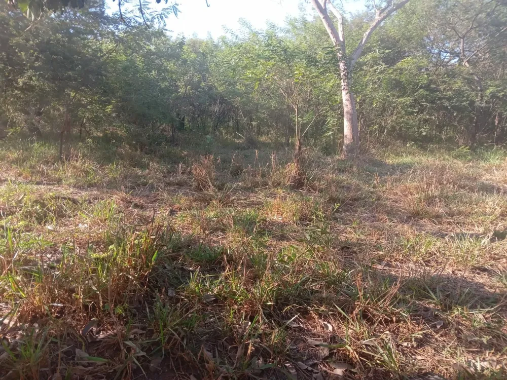 Fazenda, 1 quarto - Foto 5