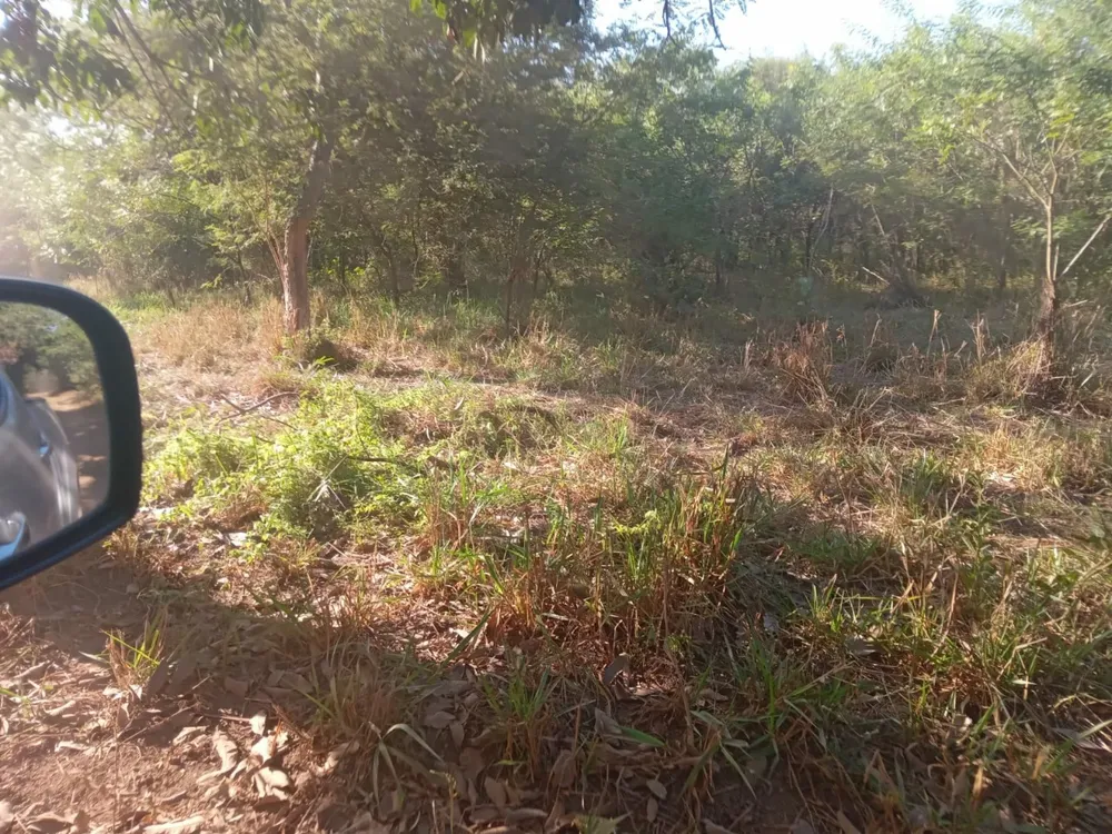 Fazenda, 1 quarto - Foto 4