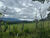 Fazenda, 3 quartos - Foto 4