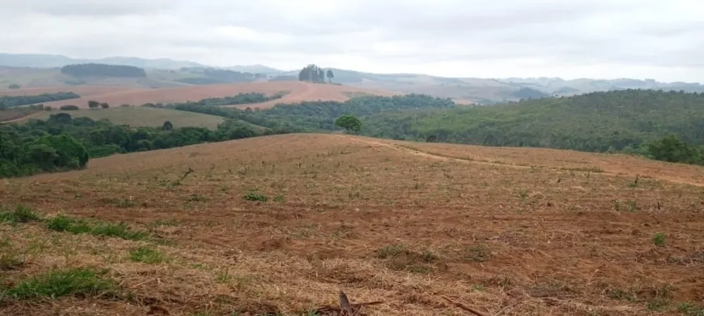 Fazenda, 339 hectares - Foto 16