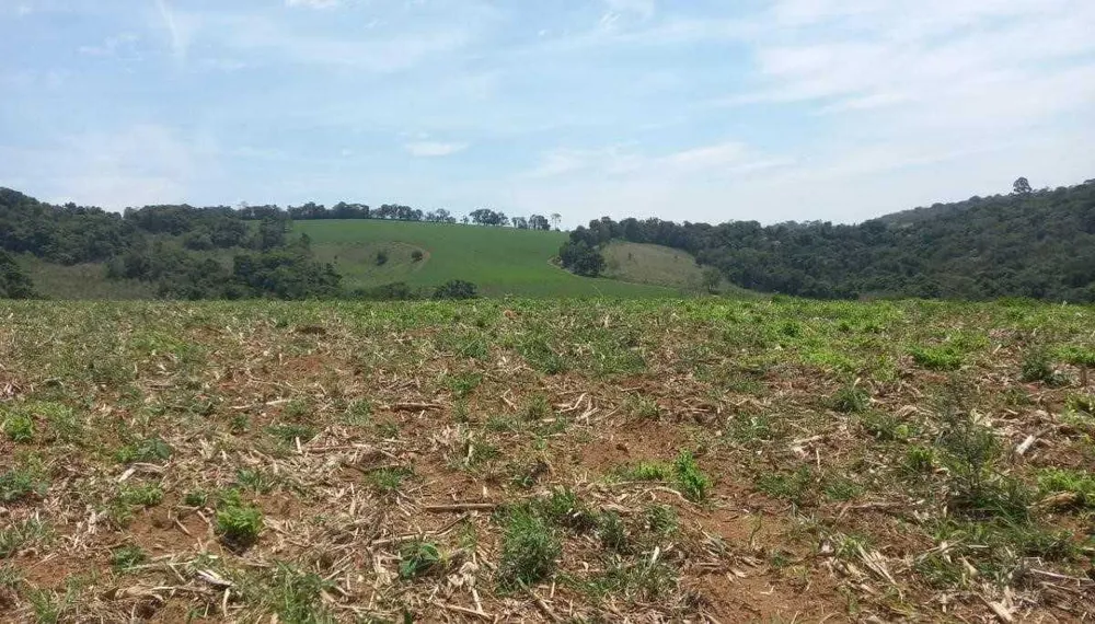 Fazenda, 339 hectares - Foto 22