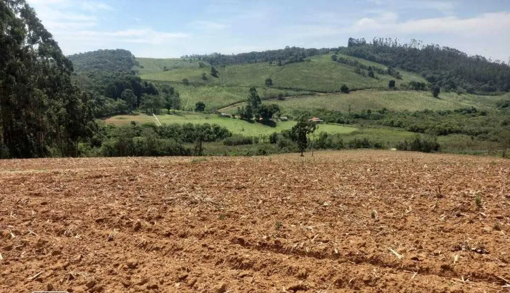 Fazenda, 339 hectares - Foto 14