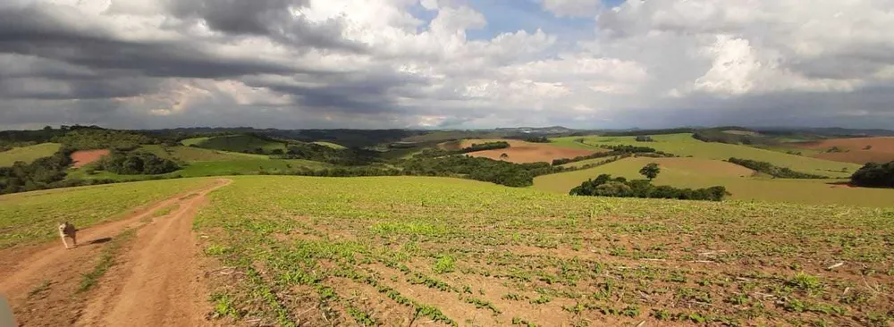 Fazenda, 339 hectares - Foto 2