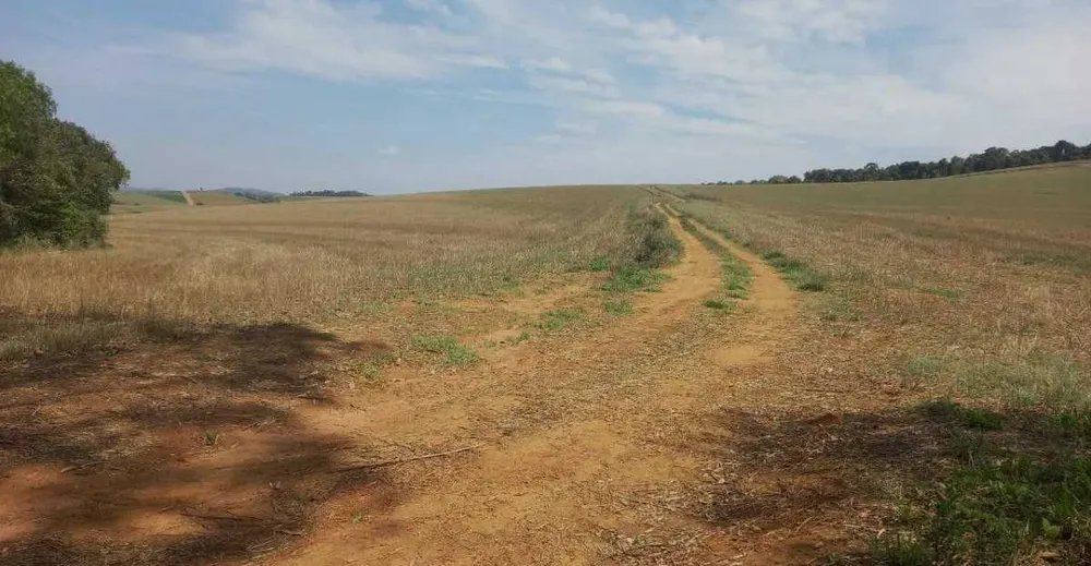 Fazenda, 339 hectares - Foto 15