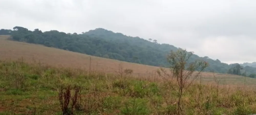 Fazenda, 339 hectares - Foto 13