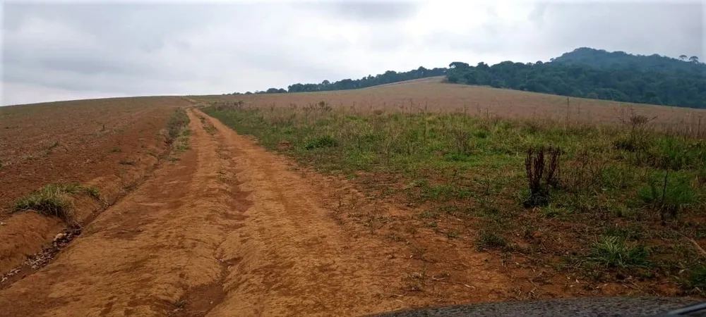 Fazenda, 339 hectares - Foto 10