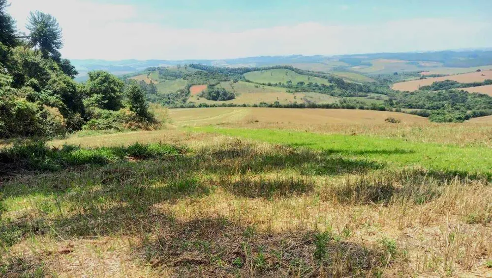 Fazenda, 339 hectares - Foto 19