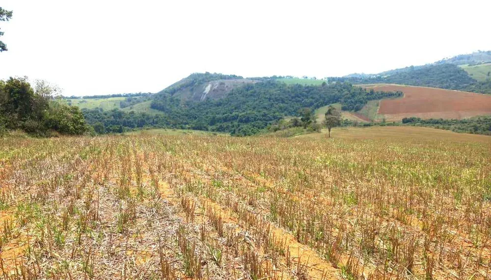 Fazenda, 339 hectares - Foto 21
