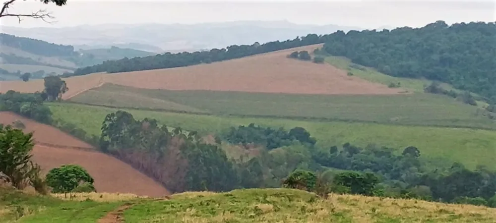 Fazenda, 339 hectares - Foto 3