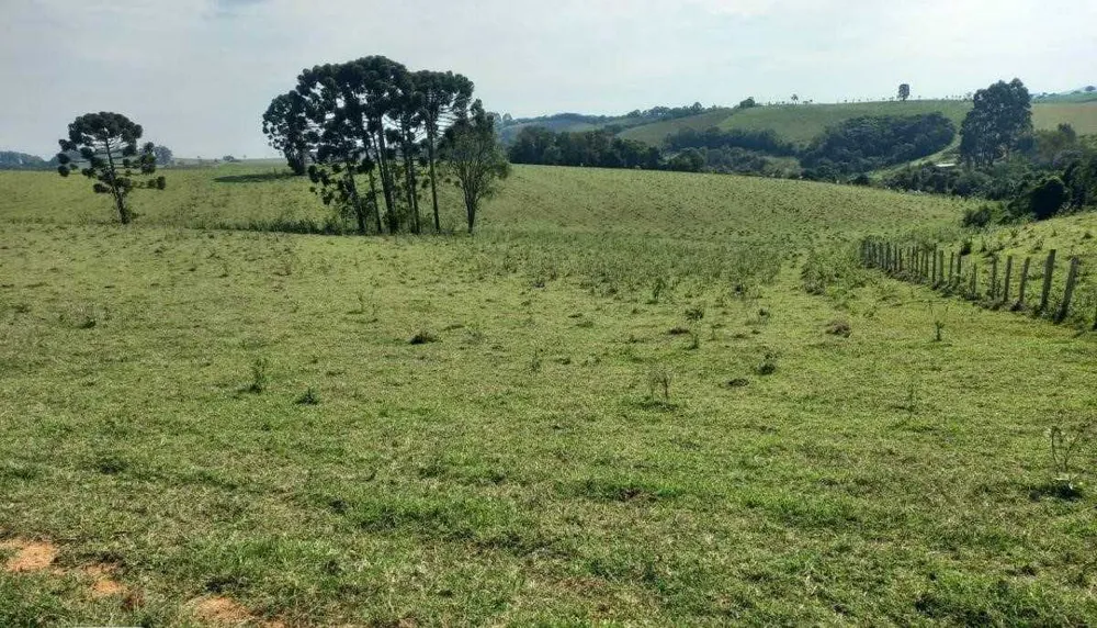 Fazenda, 339 hectares - Foto 24