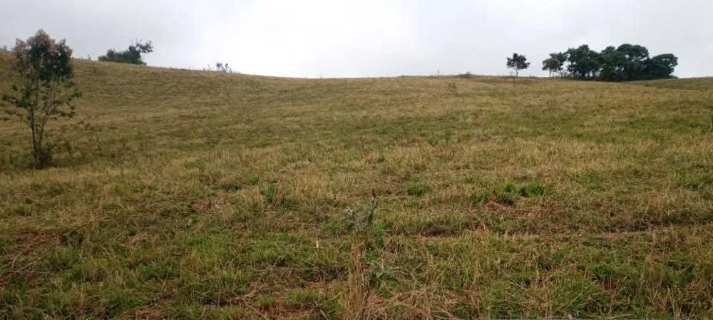 Fazenda, 339 hectares - Foto 12
